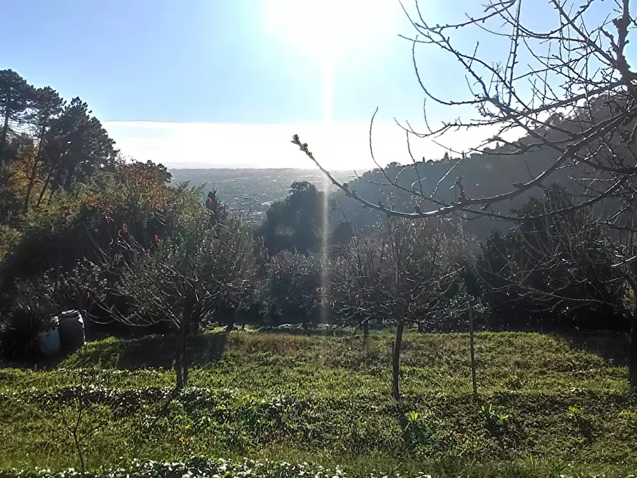 Immagine 35 di Casa indipendente in vendita  a Pietrasanta