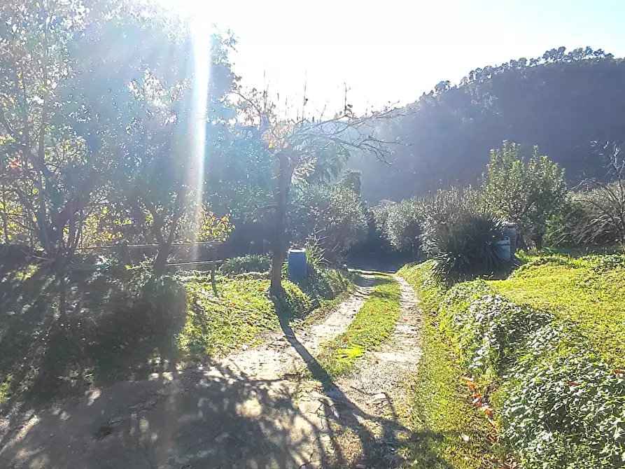 Immagine 4 di Casa indipendente in vendita  a Pietrasanta