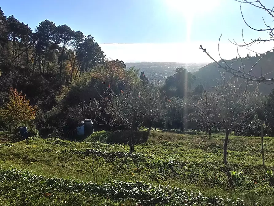 Immagine 36 di Casa indipendente in vendita  a Pietrasanta