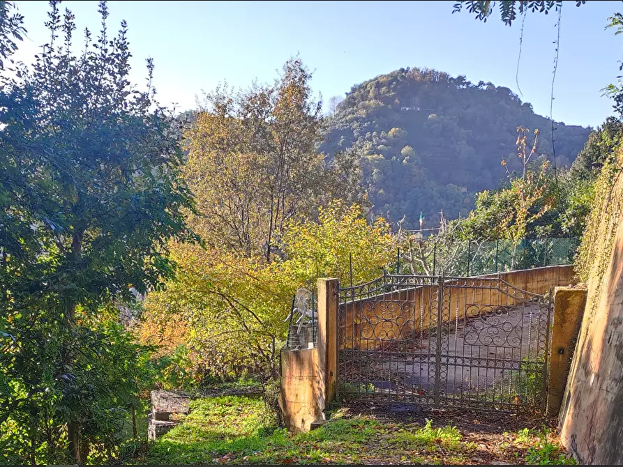 Immagine 1 di Casa indipendente in vendita  a Pietrasanta