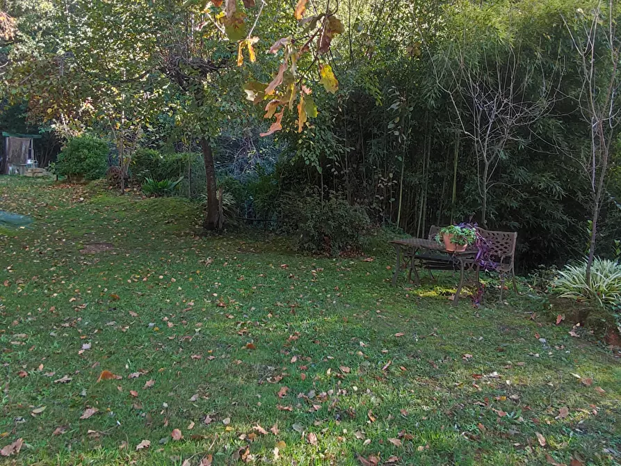 Immagine 27 di Casa indipendente in vendita  a Pietrasanta