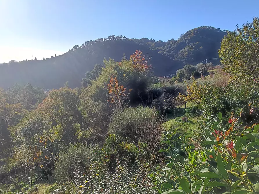 Immagine 34 di Casa indipendente in vendita  a Pietrasanta