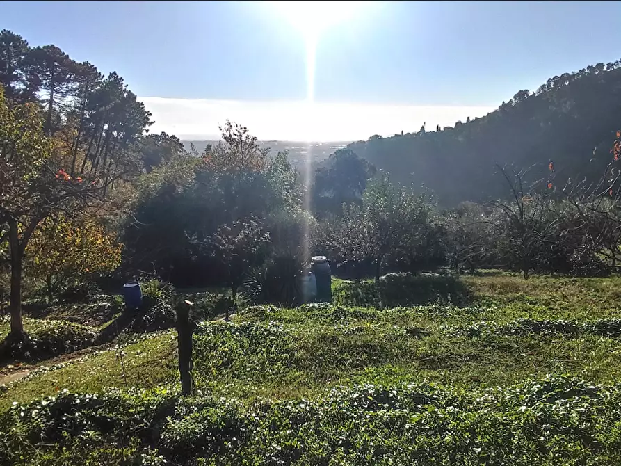 Immagine 37 di Casa indipendente in vendita  a Pietrasanta
