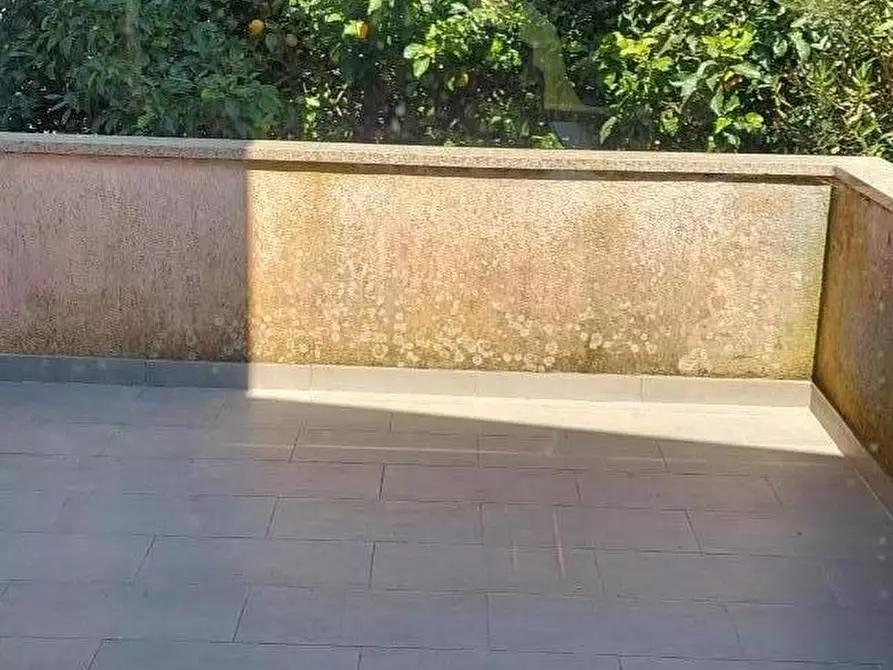 Immagine 26 di Casa indipendente in vendita  a Carrara