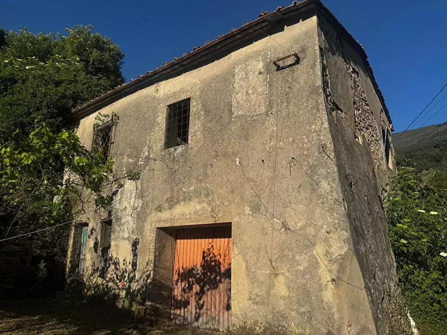 Immagine 1 di Casa indipendente in vendita  a Calci