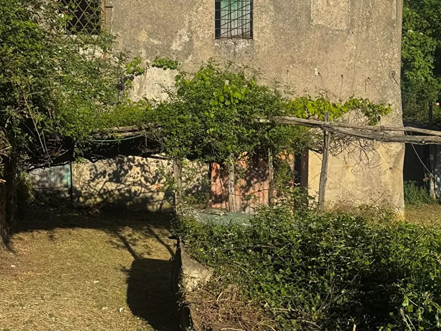 Immagine 2 di Casa indipendente in vendita  a Calci