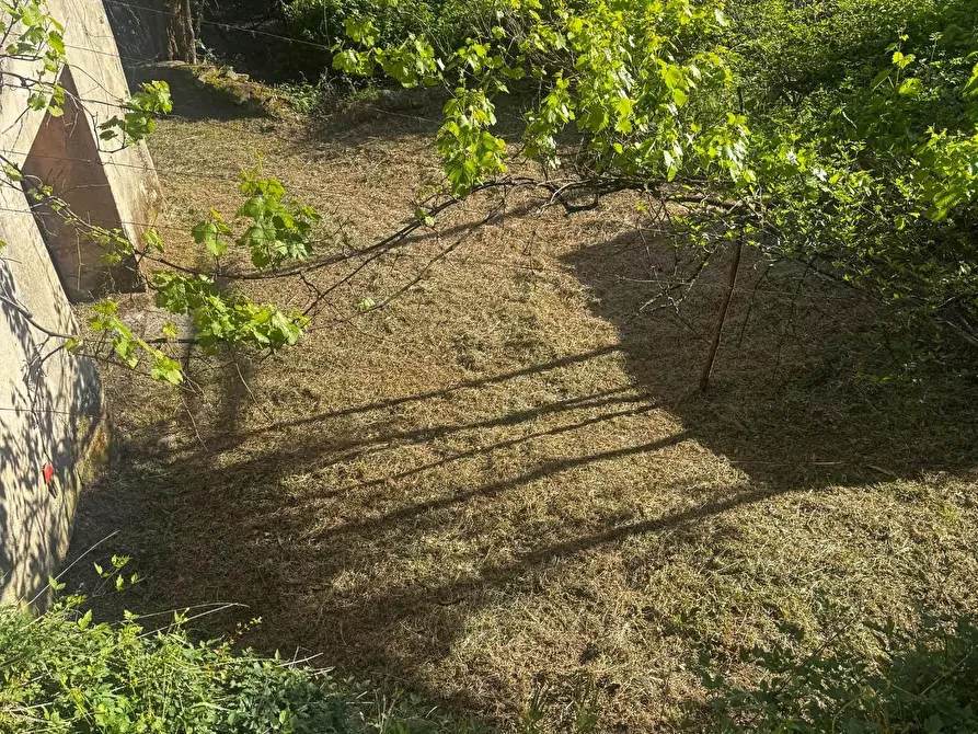 Immagine 4 di Casa indipendente in vendita  a Calci