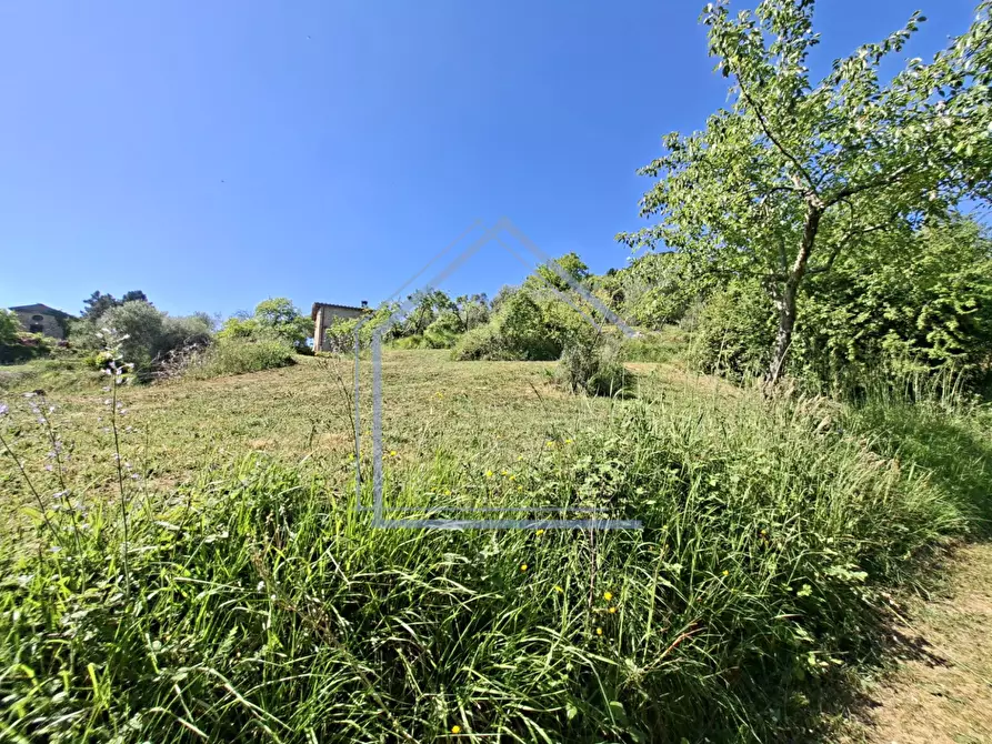 Immagine 24 di Villa in vendita  a Camaiore