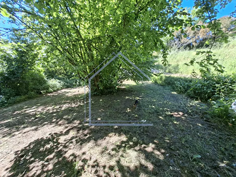 Immagine 36 di Villa in vendita  a Camaiore