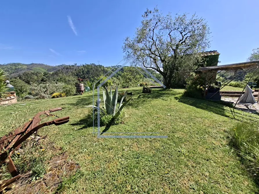Immagine 31 di Villa in vendita  a Camaiore