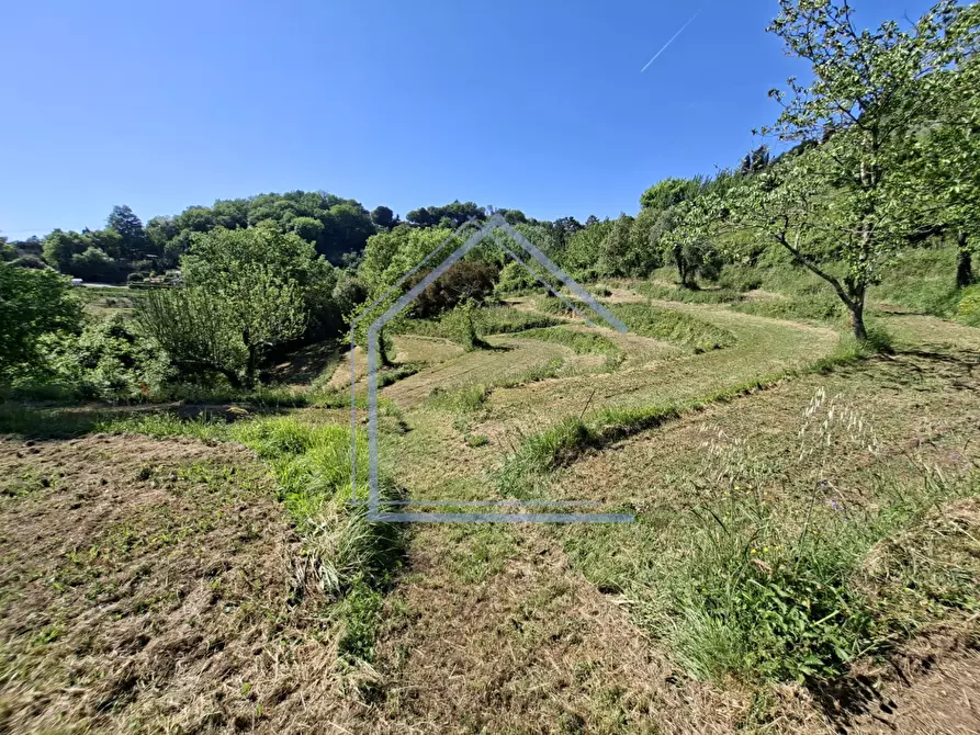 Immagine 39 di Villa in vendita  a Camaiore