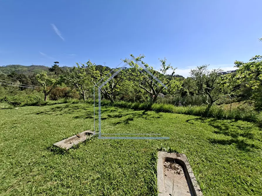 Immagine 22 di Villa in vendita  a Camaiore