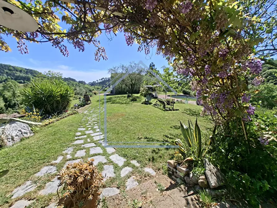 Immagine 25 di Villa in vendita  a Camaiore
