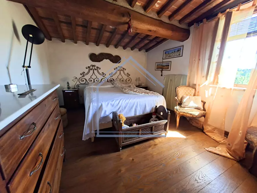 Immagine 11 di Villa in vendita  a Camaiore
