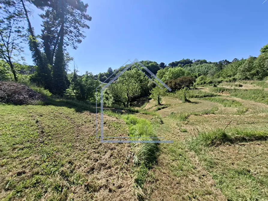 Immagine 38 di Villa in vendita  a Camaiore