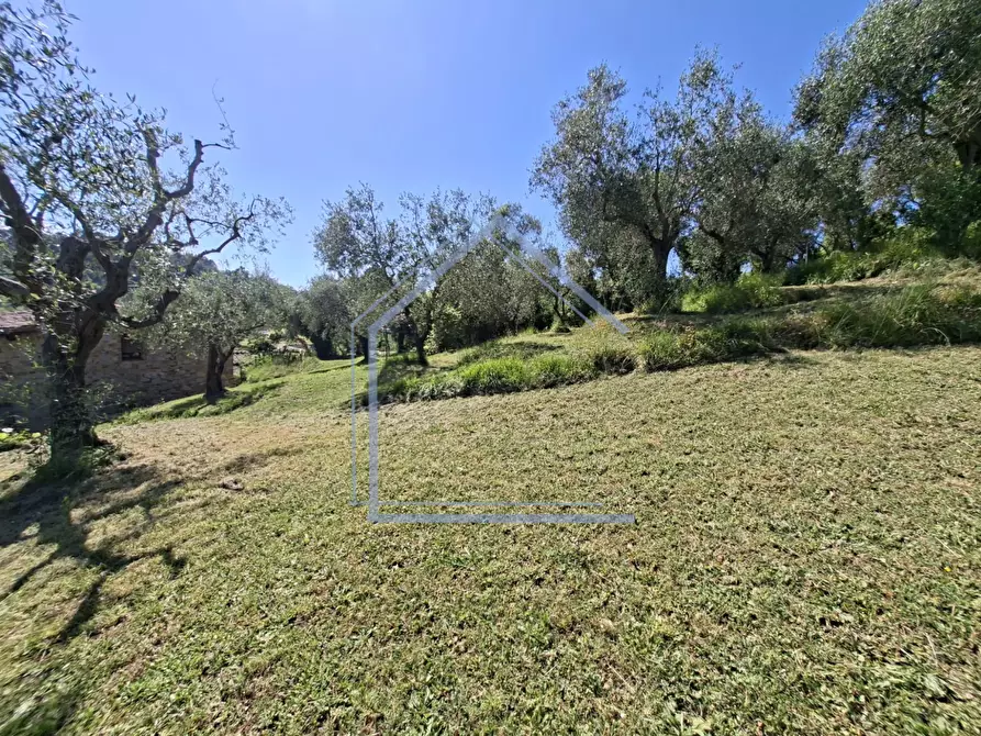 Immagine 27 di Villa in vendita  a Camaiore