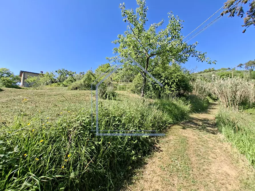 Immagine 29 di Villa in vendita  a Camaiore