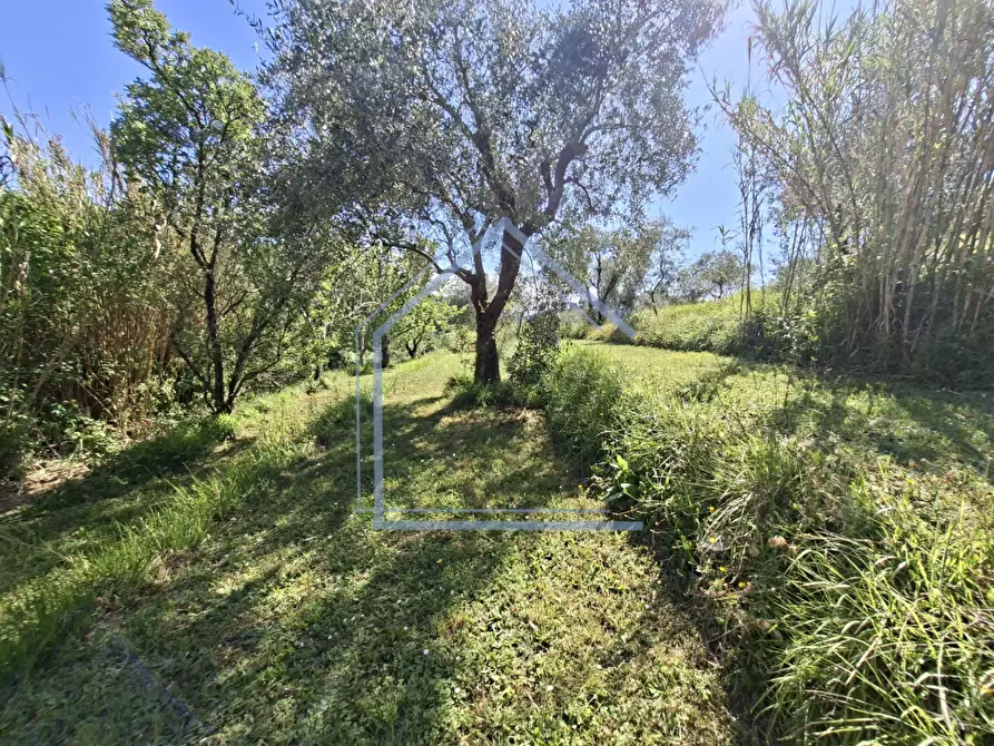 Immagine 28 di Villa in vendita  a Camaiore