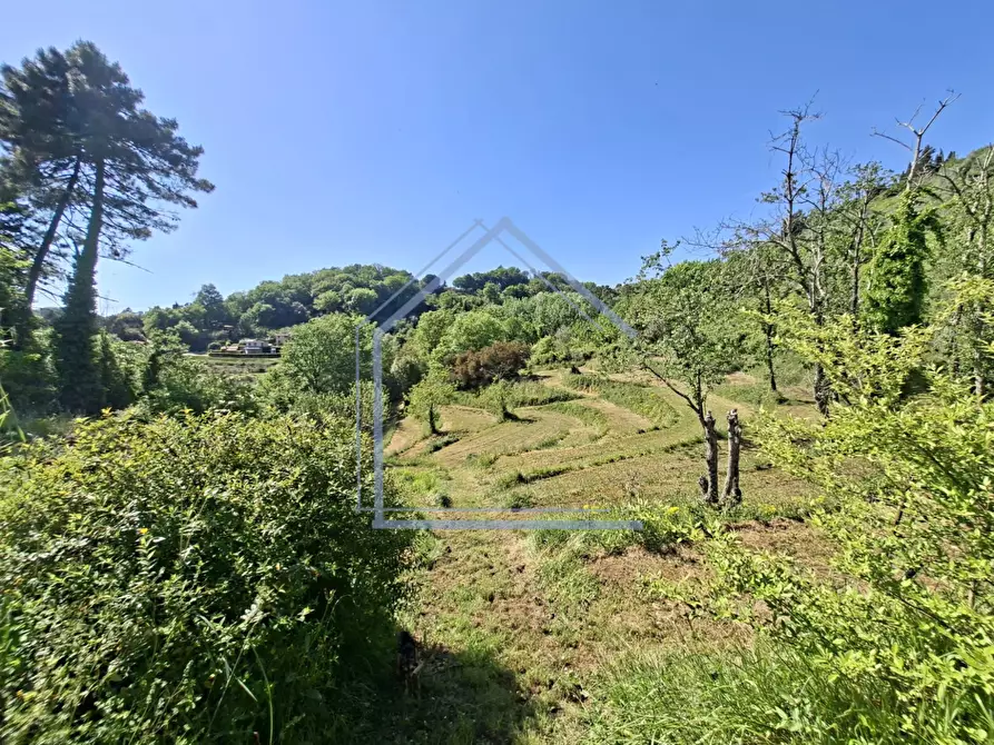 Immagine 32 di Villa in vendita  a Camaiore