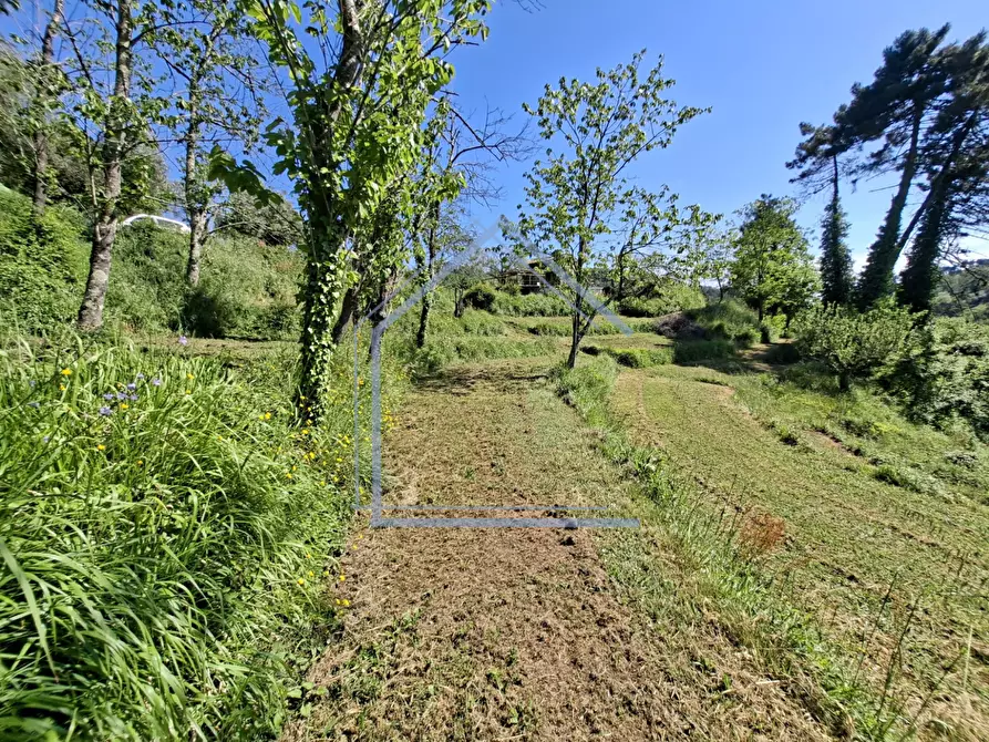 Immagine 34 di Villa in vendita  a Camaiore