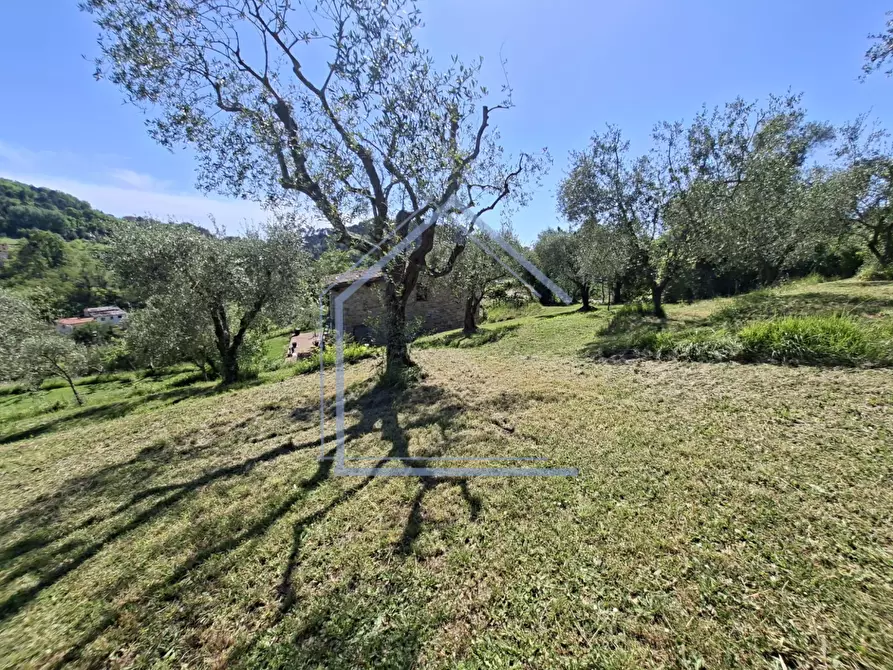 Immagine 26 di Villa in vendita  a Camaiore