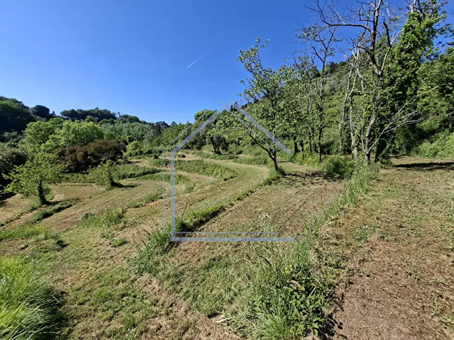 Immagine 37 di Villa in vendita  a Camaiore