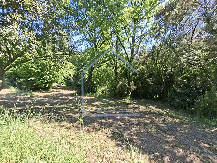 Immagine 35 di Villa in vendita  a Camaiore