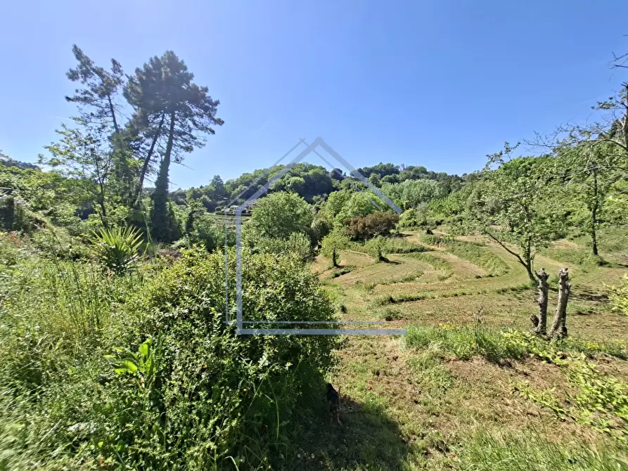 Immagine 33 di Villa in vendita  a Camaiore