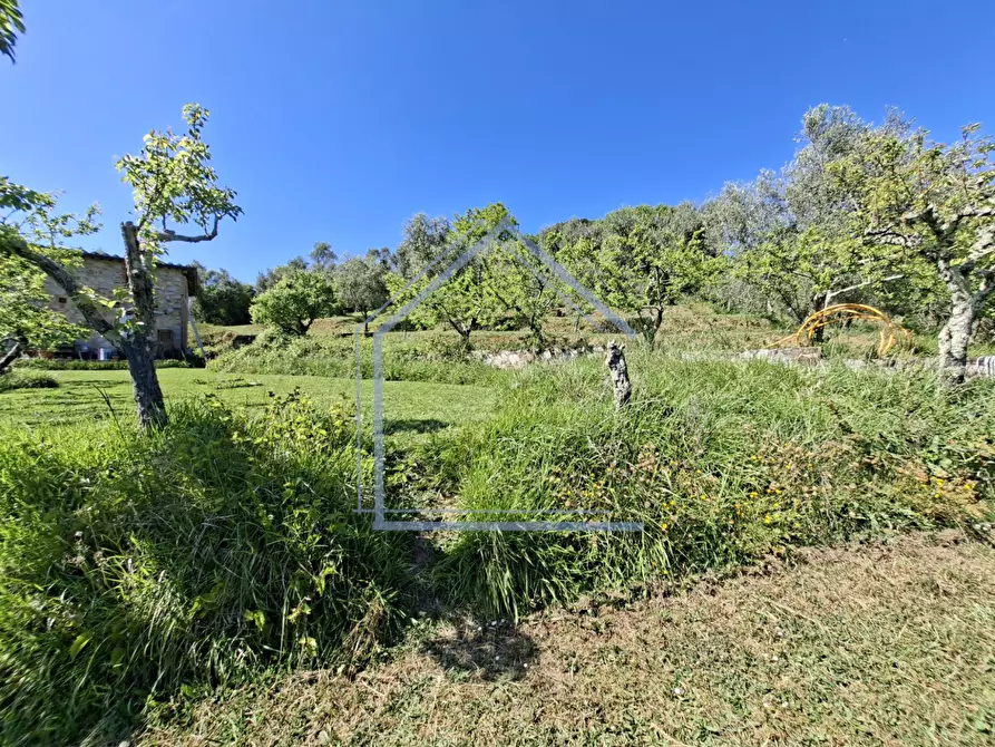 Immagine 23 di Villa in vendita  a Camaiore
