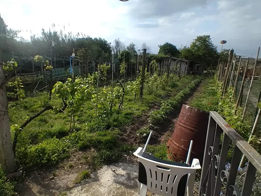 Immagine 9 di Casa indipendente in vendita  a Ortonovo