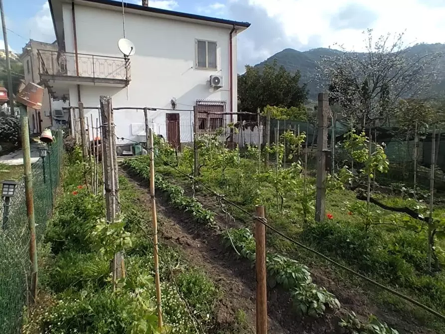 Immagine 1 di Casa indipendente in vendita  a Ortonovo