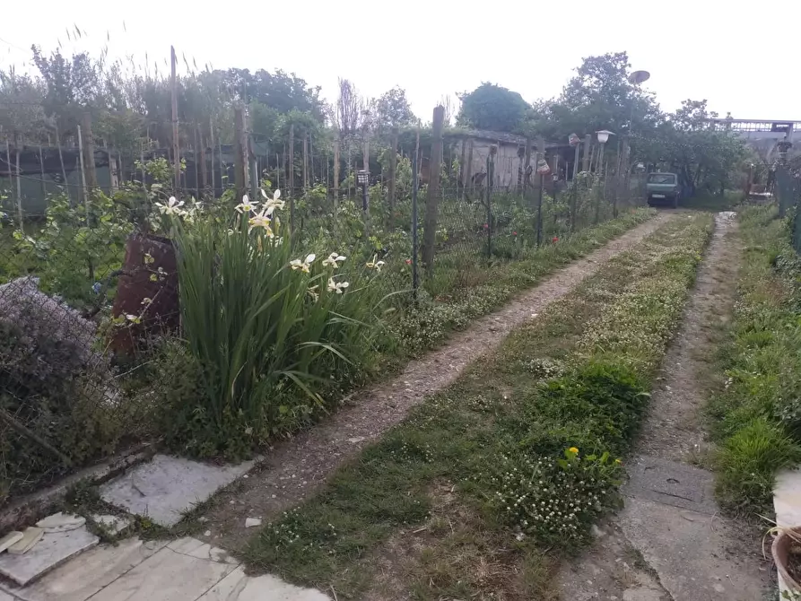 Immagine 8 di Casa indipendente in vendita  a Ortonovo
