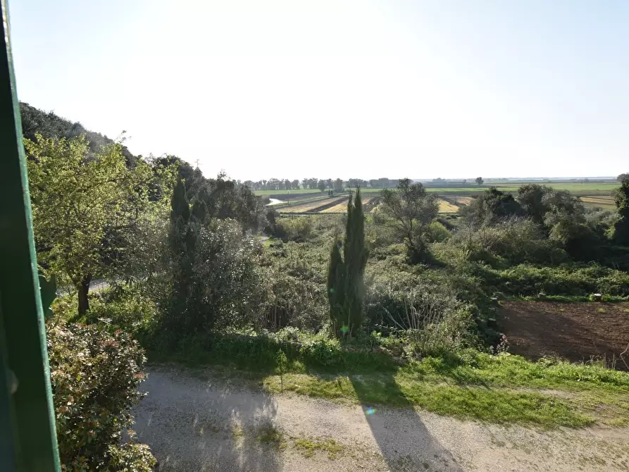 Immagine 4 di Terratetto in vendita  a Lucca