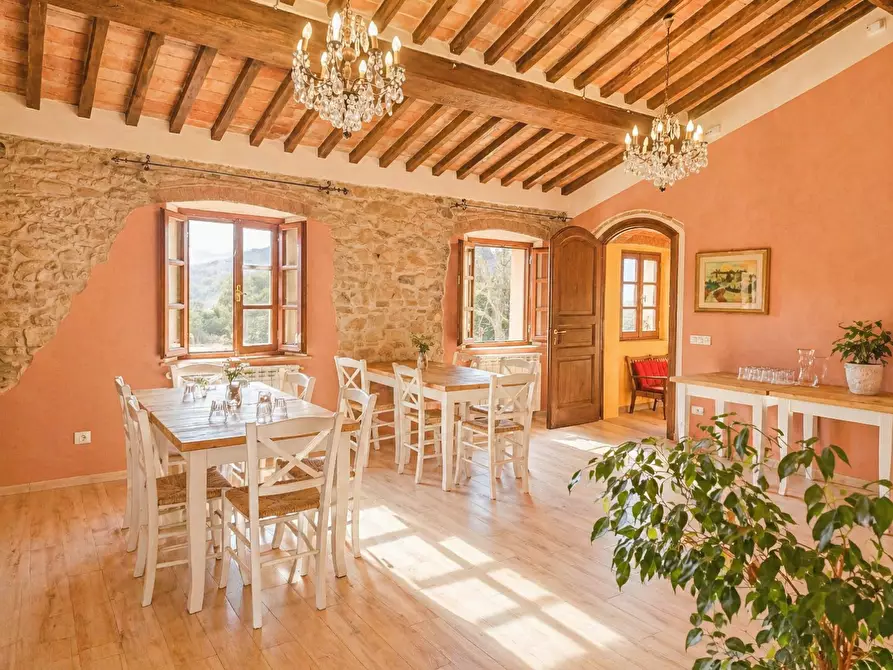 Immagine 7 di Agriturismo in vendita  a San Giuliano Terme