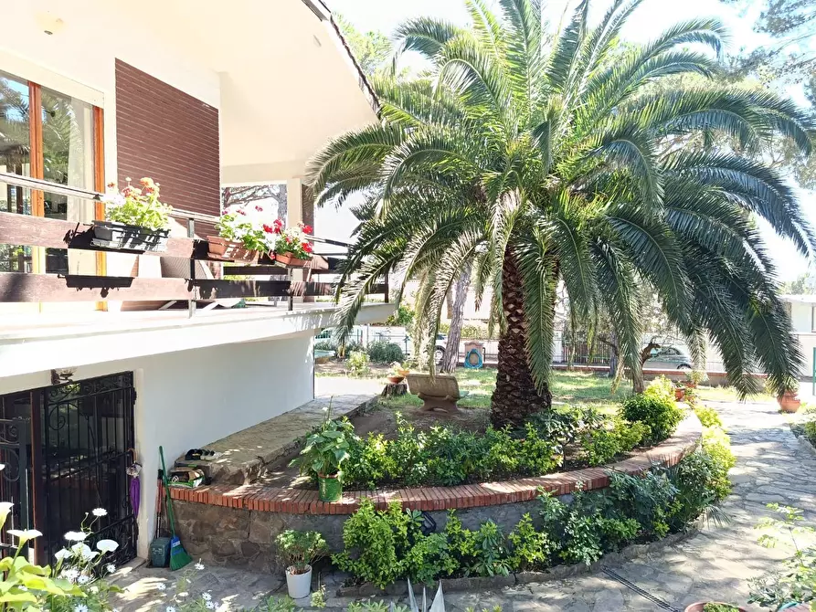Immagine 3 di Villa in vendita  a Livorno