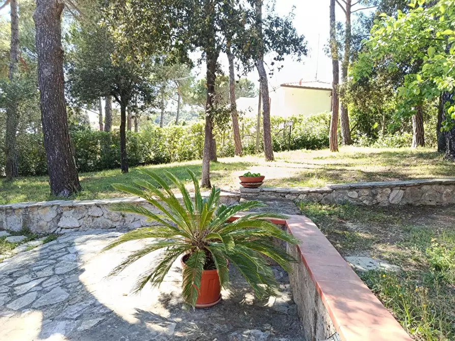 Immagine 25 di Villa in vendita  a Livorno