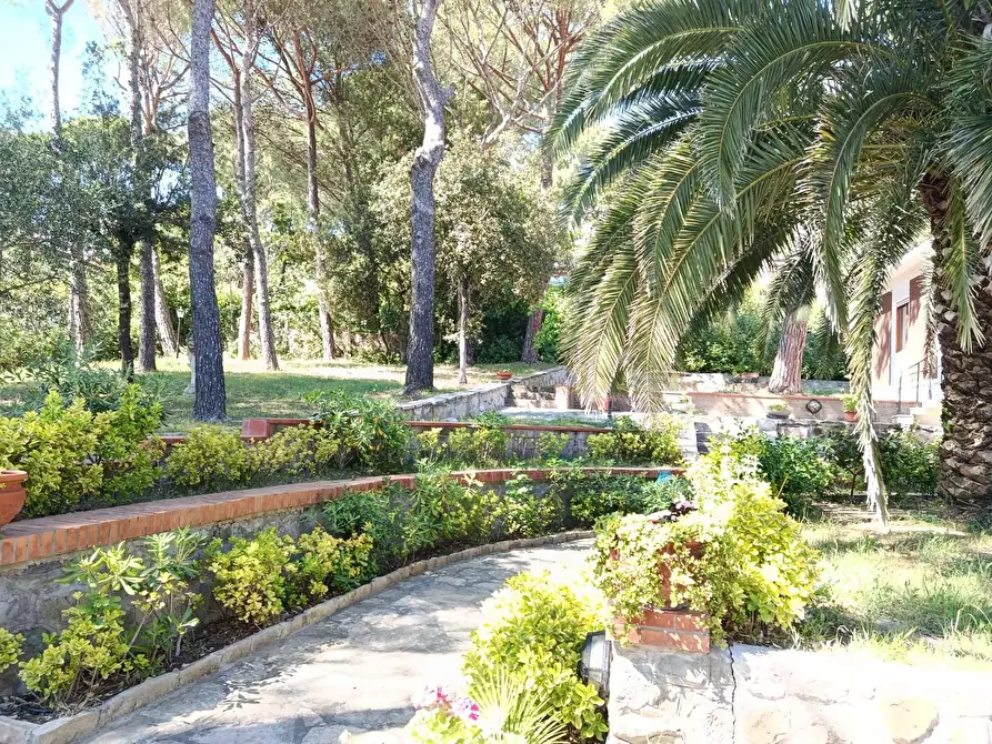 Immagine 2 di Villa in vendita  a Livorno