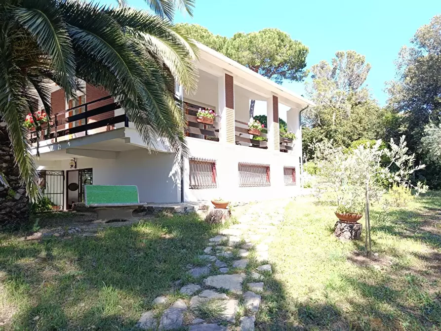 Immagine 5 di Villa in vendita  a Livorno