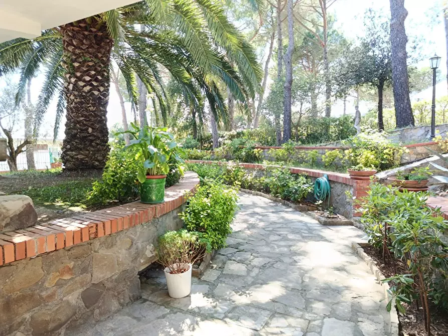 Immagine 4 di Villa in vendita  a Livorno