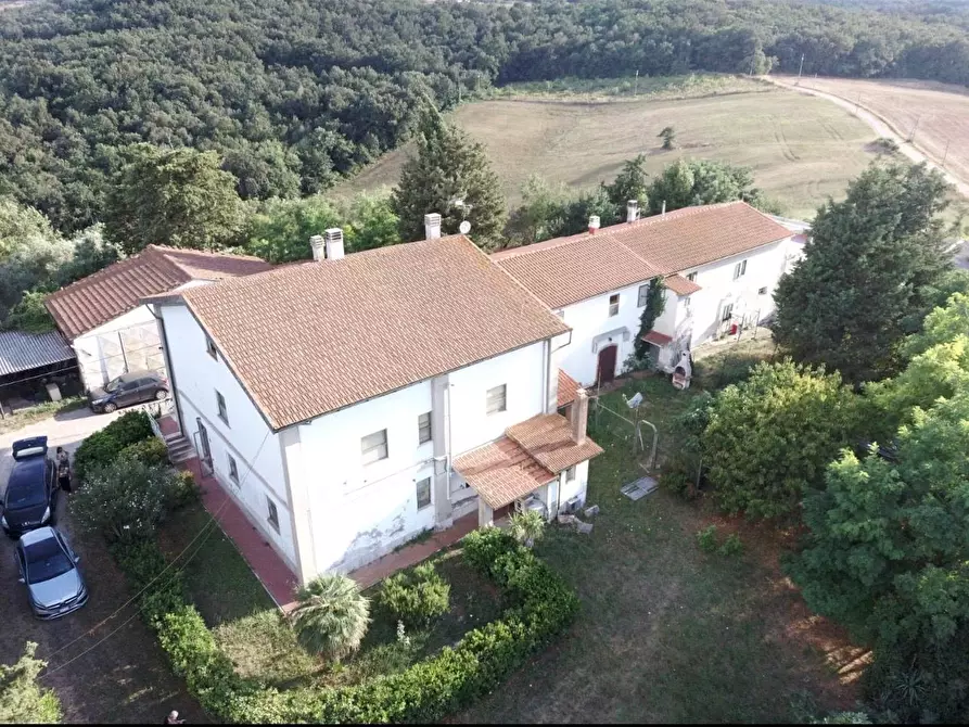 Immagine 2 di Appartamento in vendita  a Collesalvetti