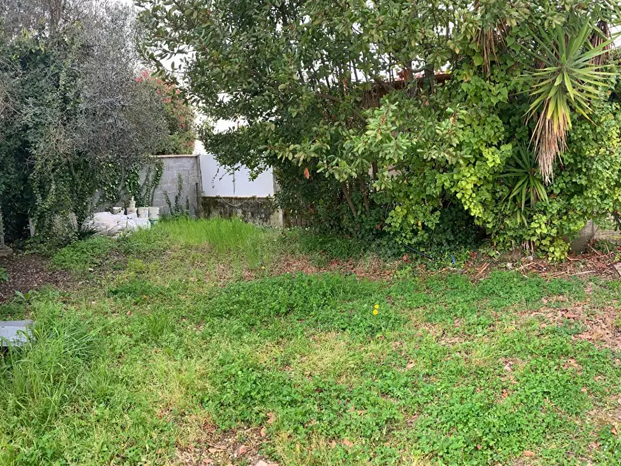 Immagine 5 di Terratetto in vendita  a San Giuliano Terme