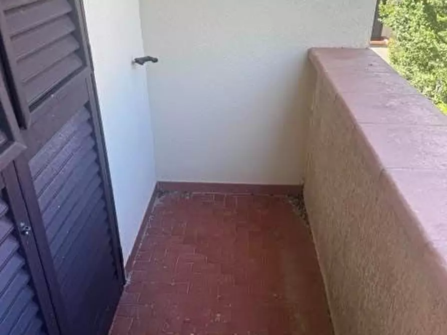 Immagine 9 di Villetta a schiera in vendita  a Calci