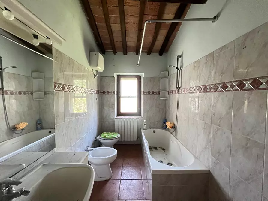 Immagine 13 di Terratetto in vendita  a Collesalvetti