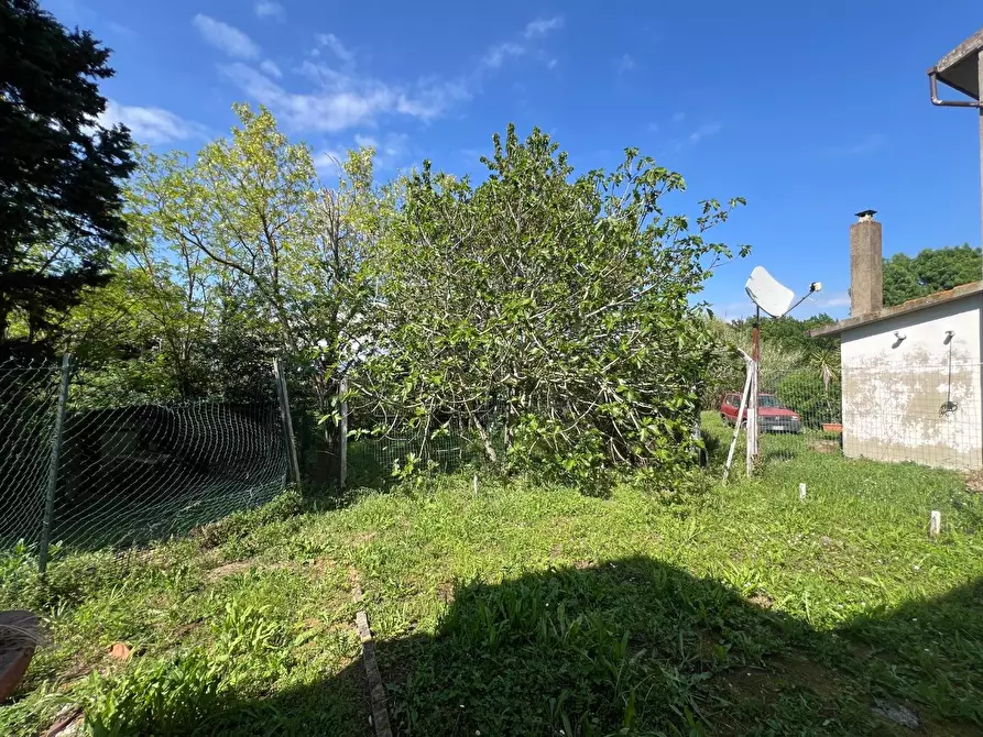 Immagine 23 di Terratetto in vendita  a Collesalvetti