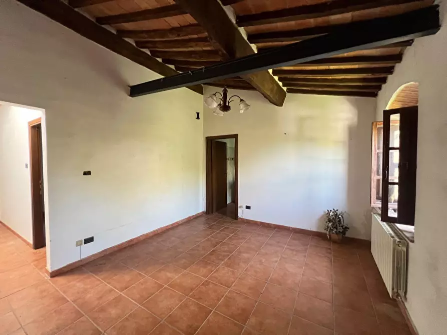 Immagine 11 di Terratetto in vendita  a Collesalvetti