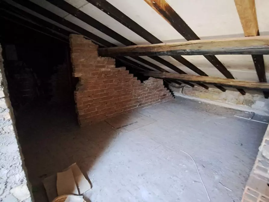 Immagine 19 di Appartamento in vendita  a Rosignano Marittimo