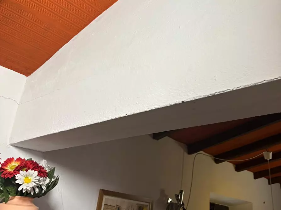 Immagine 19 di Appartamento in vendita  a Riparbella