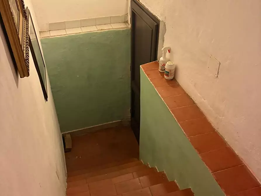 Immagine 15 di Appartamento in vendita  a Riparbella