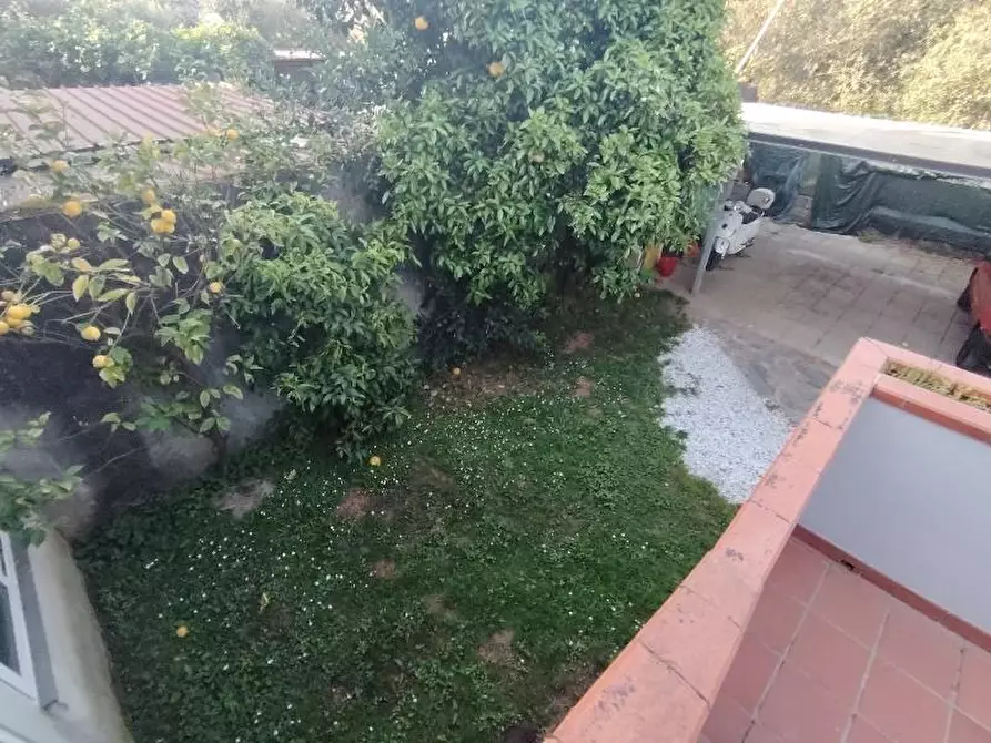 Immagine 3 di Casa semindipendente in vendita  a Massa