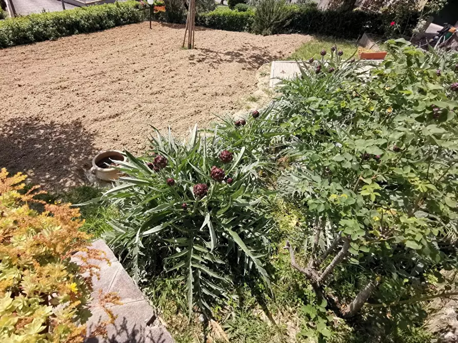 Immagine 20 di Terratetto in vendita  a Fucecchio